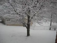 DSCN1065.webp