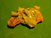 DSCN4809.webp
