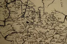 142.webp