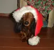 tuffytuf.webp