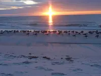 beach 008.webp