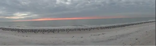 beach 023.webp
