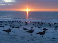 beach 016.webp