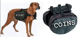 DogAndSaddleBag_Full.webp