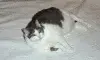 avatar_12203.webp
