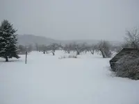snow day.webp