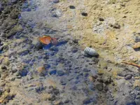 DSCF0004.webp
