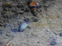 DSCF0005.webp