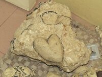 our TOP marker dug beneath the locking stone. with hardened clay heart shape pasted on a white...jpg