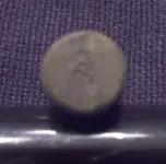 P casing #3.webp