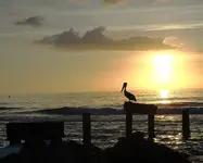 beach, moms house, moms car 011.webp