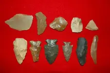 Dicks Pizza Total Finds.webp