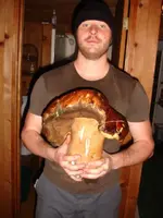 Pats Big 2.webp