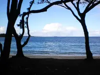 004.webp