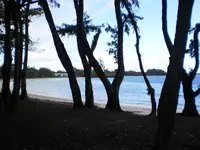 005.webp