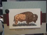 DSCF1149.webp