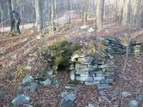 DEC 2ND  HUNT WITH FRANK MATRON HEAD 009 [].webp
