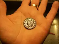 DEC 2ND  HUNT WITH FRANK MATRON HEAD 015 [].webp
