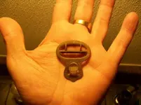 DEC 2ND  HUNT WITH FRANK MATRON HEAD 018 [].webp