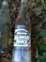 delieciou.webp