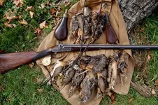 Blissett and woodcock2.webp