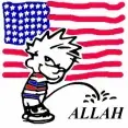 avatar_18441.webp