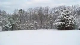 Jan 27-11 008.webp