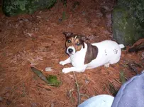 dec 08 001.webp