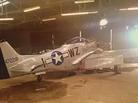 mustang c.webp