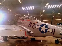 mustang f.webp
