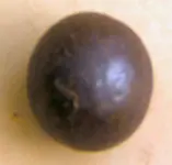 smallball1[1].webp