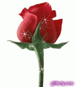 red rose.gif red rose.gif