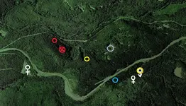 forest2dowsed.webp