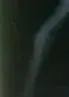 alien-baton-rouge-la-us.webp