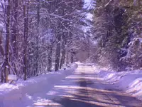 DSC00278 (2).webp
