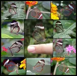 !cid_5C7F3E0723B540BEB77D690F11C241B7@Evelyn.webp