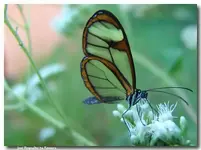 !cid_89F25BE107394C66BB7865C6FEC3ACAD@Evelyn.webp