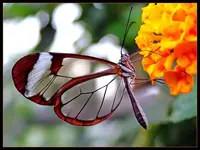 !cid_367388BCA50D4D949FB26D5A47DF9215@Evelyn.webp