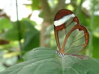 !cid_F862F7798D1D4C168ECE3B0228D8AE38@Evelyn.webp