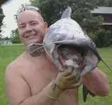 28611_1276860491462_1528471424_30578370_2812573_n.webp