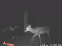 anigif-20.gif