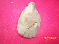 100_1006.webp