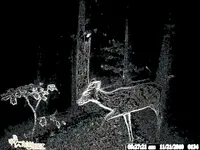 alien_1.webp