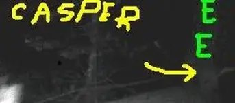 anigif-20s.webp