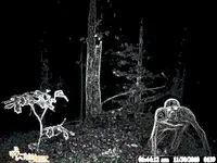alien_3.webp