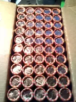 pennies.webp