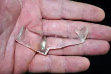 fish5.webp