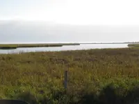 001.webp