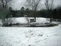 snow.webp