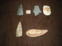 DSCN4484.webp